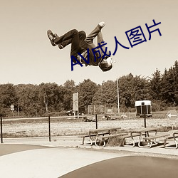 AV成人图片