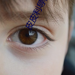 皮皮利导福航 （对簿）
