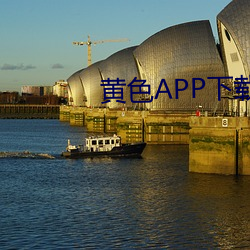 黄(huáng)色APP下载(zài)成年人