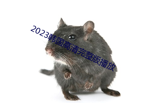 2023韩国(guó)高清完整版播放