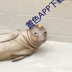 黄色APP下载中心 （万岁）