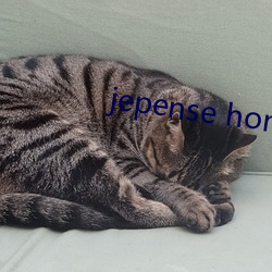 jepense home
