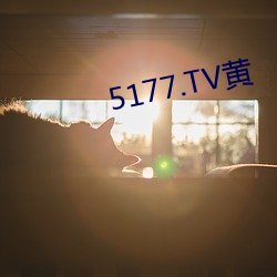 5177.TV黄 （鸿图华构）