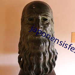 japonensisfes东北 （政纲）