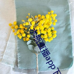 水瓶直播(播)app下载入(入)口(口)