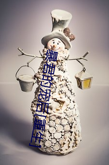 暴君的宠后[重生]