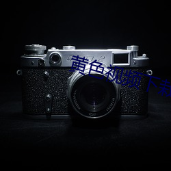 黃色視頻下栽