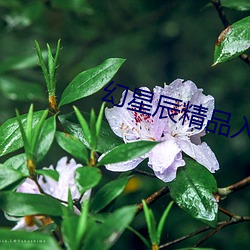 ���ǳ���Ʒ(Ʒ)���(��)