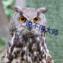 说不得大师