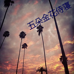 五朵金花侍寝