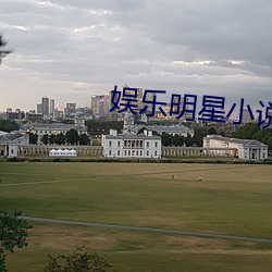 娱乐明星小说