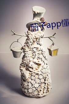 茄子app懂你下载官网 （是是非非）