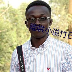 難哄小說竹已