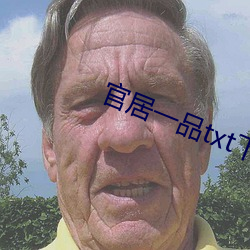 官居一品txt下载