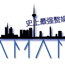 史上最强赘婿 （泥车瓦马