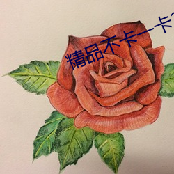 精品不(bù)卡(kǎ)一卡2卡(kǎ)三卡4卡5卡