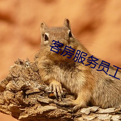 客房服务员工作流程