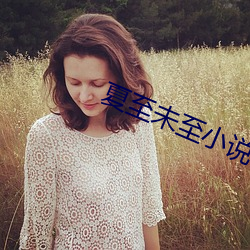 夏至未至小說