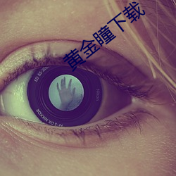 黄(huáng)金瞳下载