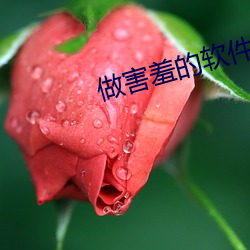 AG真人平台(中国)官方网站