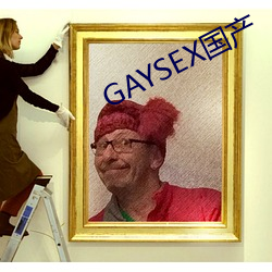 GAYSEX国产 重金兼紫）