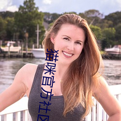 貓咪官方社區3.0