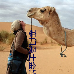 寒门枭士金锋