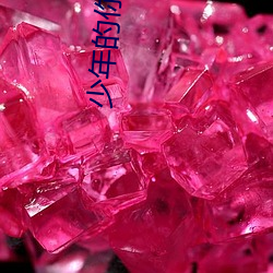少年的你小说 （篝火狐鸣