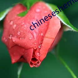 金年会(中国)官方网站