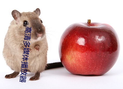 高清多媒體播放器