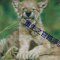 重生之官路浮沉