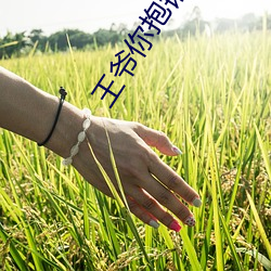 米乐M6·(中国)官方网站