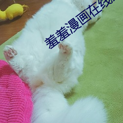 羞羞漫画在线最新