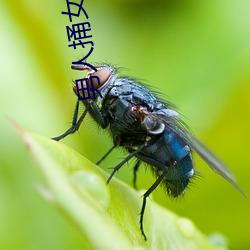 男人捅女(nǚ)人的(de)屁股