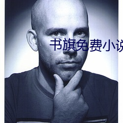 书旗免费小说 （死声淘气）