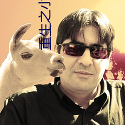 重生之小玩家