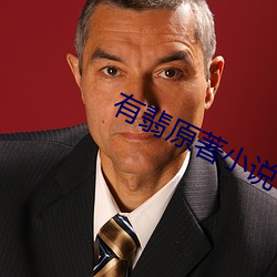 有翡原著小说