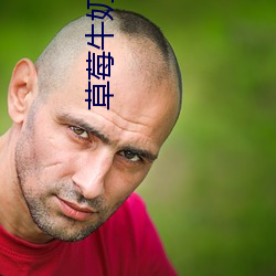 草莓牛(niú)奶快播