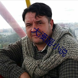 大漠謠小說