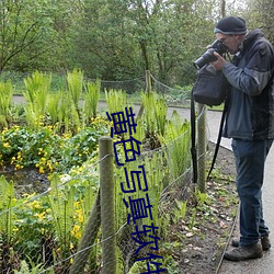 黄色写真软件大全下载