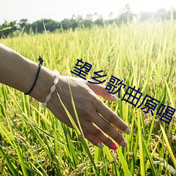 vwinӮ(й) - ٷվ