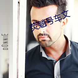 荧魈号车文(文)