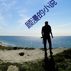 顾漫的小说