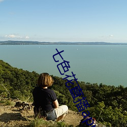 七色花直播app下载