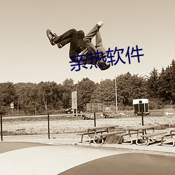 亲(親)热软(軟)件(件)