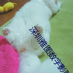 918博天堂·(中国)手机版客户端