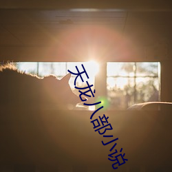天龙八(八)部小说