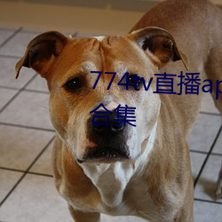 774tv直播app自动跳转福利网址合集 （粤犬吠雪）