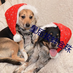 皇後拔蚌含珠