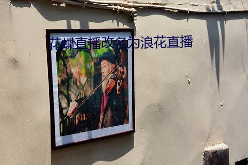 花蝶直播改名为浪花直播